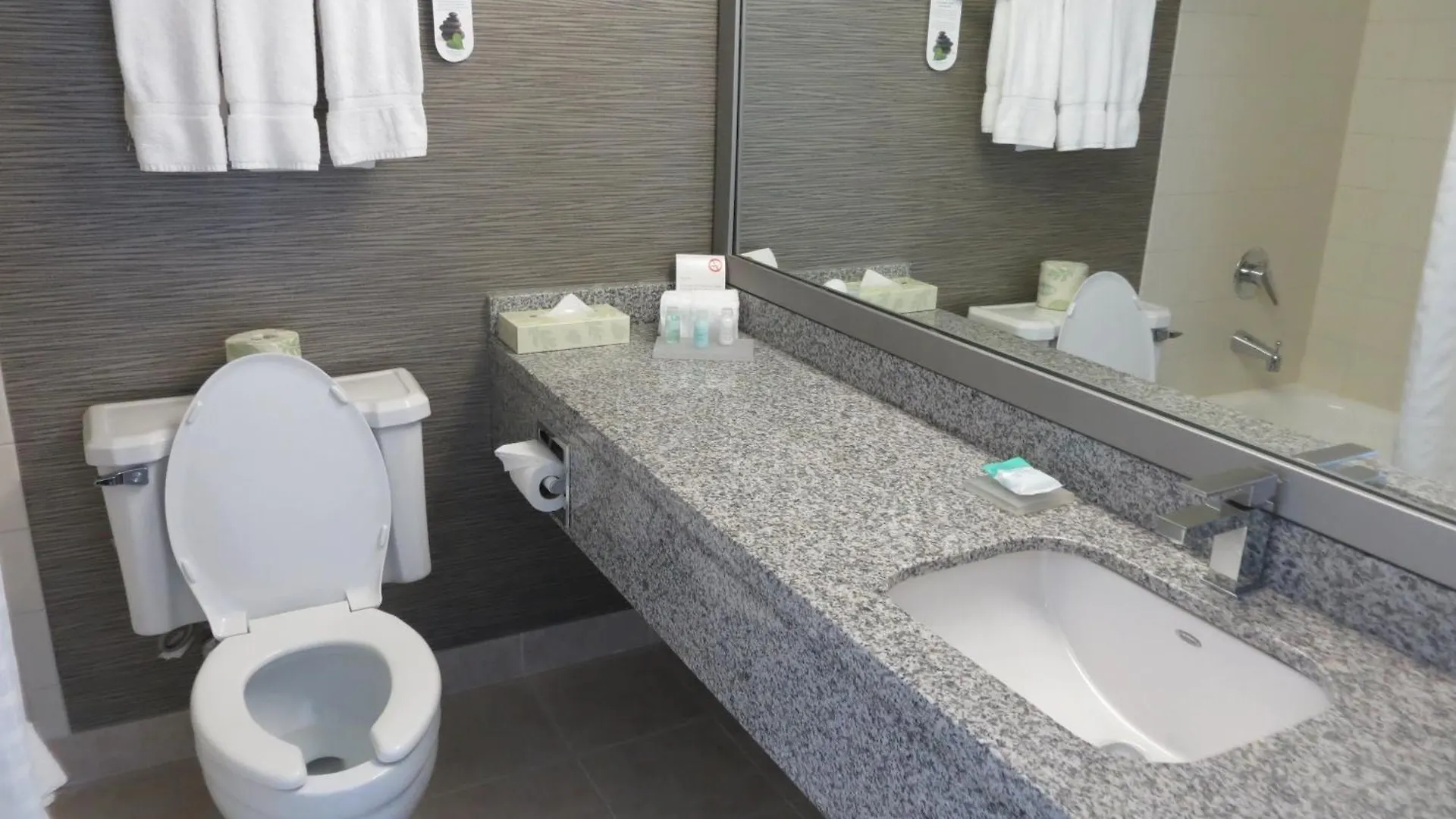 Toronto Don Valley Hotel And Suites