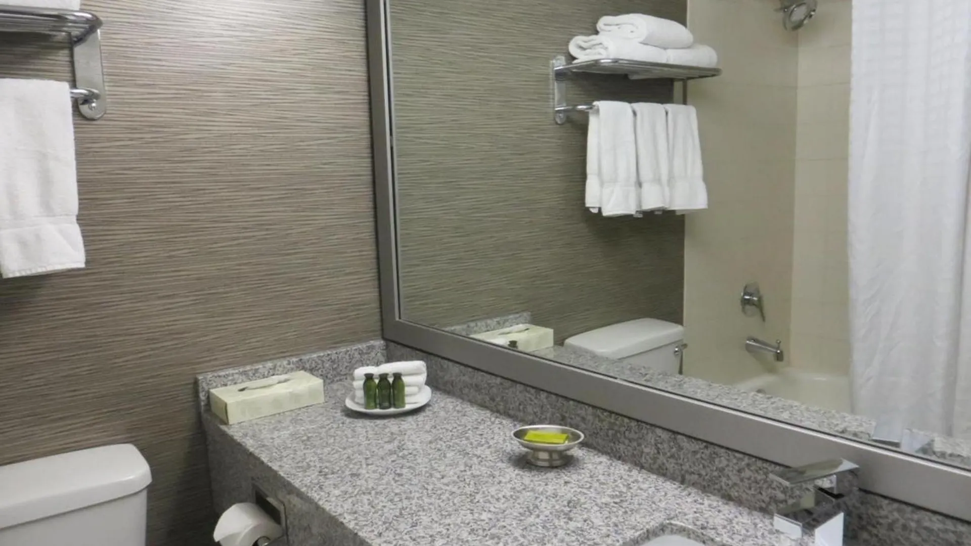 Toronto Don Valley Hotel And Suites