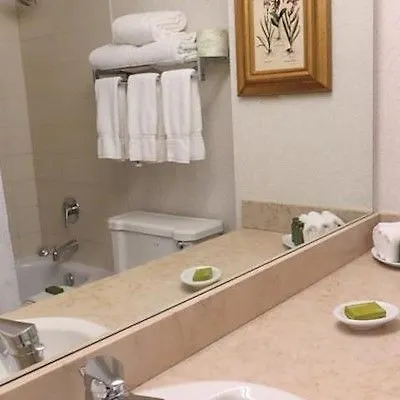 ***  Toronto Don Valley Hotel And Suites Kanada