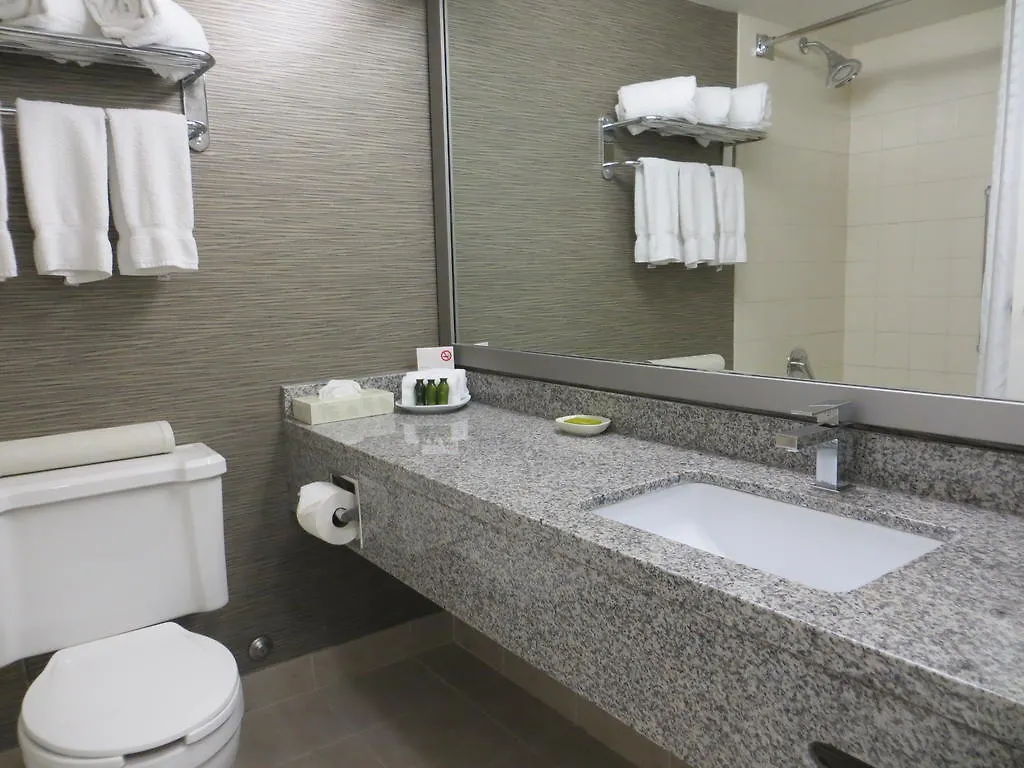 Toronto Don Valley Hotel And Suites