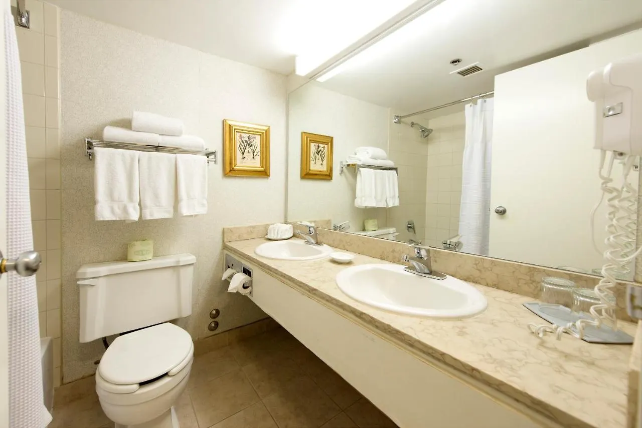 ***  Toronto Don Valley Hotel And Suites Canada